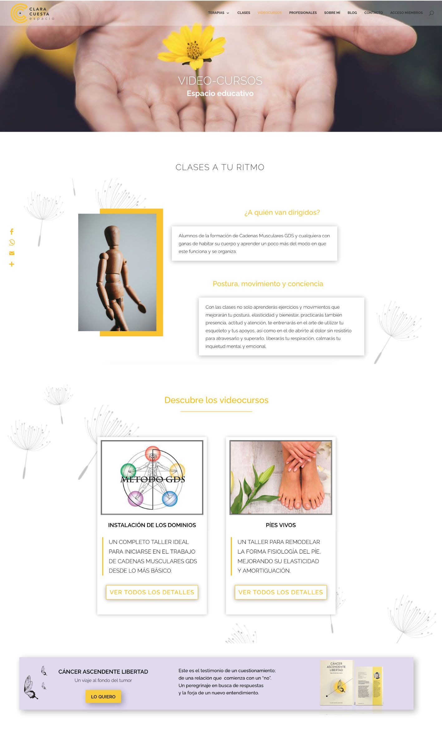 diseño-web-pagina-videocursos